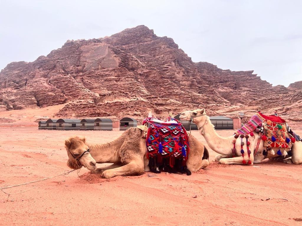 Wadi Rum Sky Tours & Camp Ngoại thất bức ảnh